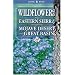 Wildflowers of the Eastern Sierra and Adjoining Mojave Desert and Great Basin