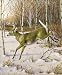 Micro Throw and Pillow Set Nature Leaping White Tail Deer