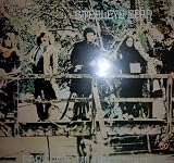 STEELEYE SPAN hark the village wait. Fabulous copy. Very rare, PORKY A-2U matrix, complete with inner info sheet, first UK pressing on Mooncrest 1970.