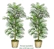 TWO 6' Artificial Areca Palm Trees, with No Pot,