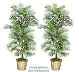 TWO 6' Artificial Areca Palm Trees, with No Pot,