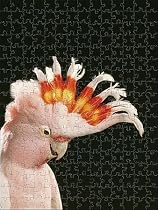 Jigsaw of Major Mitchells COCKATOO from Ardea