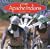 The Apache Indians (Native Peoples)