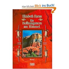Ein Hoffnungsstern am Himmel: Roman