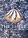 The Shell: A World of Decoration and Ornament