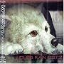 Wolf's Rain 2