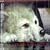 Wolf's Rain Original Soundtrack 2