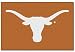 Texas Longhorns Tufted Rug (20-inch x 30-inch)