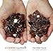 Golden Flame 20-Pound Fire Glass 1/2-Inch Rich CopperReflective