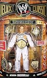 SHAWN MICHAELS - TRIBUTE TO HBK INTERNET EXCLUSIVE CLASSIC DELUXE WWE TOY WRESTLING ACTION FIGURE