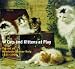 Cats and Kittens at Play: The Art of Henriette Ronner-Knip 1821-1909
