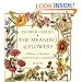 Flower Fairies: The Meaning of Flowers