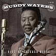 King of Chicago Blues