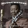 King of Chicago Blues