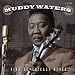 King of Chicago Blues