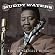 King of Chicago Blues