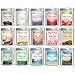 Aurorae 6.8 oz Eucalyptus Scented Soy Aromatherapy Candle