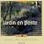 Jardin en pente : Reportages-id�es-portraits de plantes