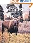 Wild Moose Country