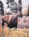 Wild Moose Country