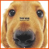 Artlist Collection the Dog 2005 Calendar Dachshund (Multilingual Edition)
