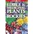 Edible and Medicinal Plants of the Rockies