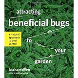 attracting beneficial bugs to your garden a natural approach to pest control