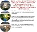 Book The Mega How To Earn Extra Money, Success Principles and eCommerce for Fly Fishing Rods Web Biz 3 CD Course