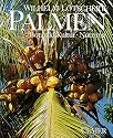 Palmen