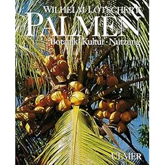 Palmen