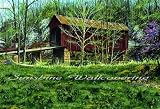 Country Bridge Wall Mural