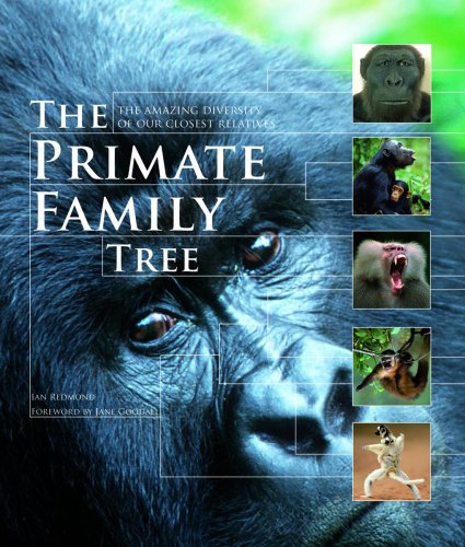 The Primate Family Tree: The Amazing Diversity of Our Closest Relatives