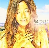 harvest
