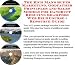 dandruff16  - The Rich Mans Super Marketing Godfather Principles and