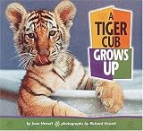 Books : A Tiger Cub Grows Up (Baby Animals)
