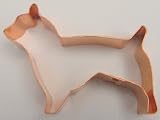 Dog - Jack Russell