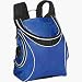Picnic Plus Cooladio Cooler with Built-in Radio and Digital Music MP3 Speakers, Royal