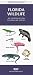 Book Florida Wildlife: An Introduction to Familiar Species (Pocket Naturalist)