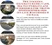 Book The Insider's Generate Extra Cash, Biz Networking and eCommerce for Travel System Strollers On-line Businesses 3 CD Pack