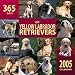 365 Days of Yellow Labrador Retrievers 2005 Wall Calendar