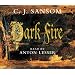 Dark Fire (Shardlake)