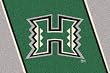 Hawaii Rainbow Warriors 3' 10" x 5' 4" Team Spirit Area Rug
