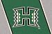 Hawaii Rainbow Warriors 7' 8" x 10' 9" Team Spirit Area Rug