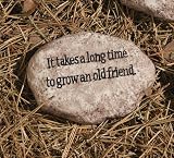 It Takes a Long Time to Grow an Old Friend Tiding Stone