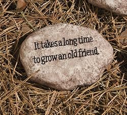 It Takes a Long Time to Grow an Old Friend Tiding Stone