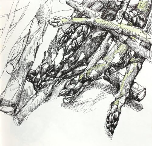 Asparagus, Archival Print of Colored Pencil Drawing, 9 X 9 Inches