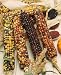 Indian Corn Seeds - Zea Mays - 30 Grams - Approx 90 Gardening Seeds - Vegetable Garden Seed