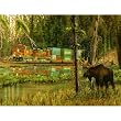 Double Take 500pc Jigsaw Puzzle by Greg Garrett