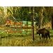 Double Take 500pc Jigsaw Puzzle by Greg Garrett