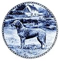 Chesapeake Bay Retriever: Danish Blue Porcelain Plate